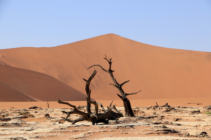 Erg du Namib