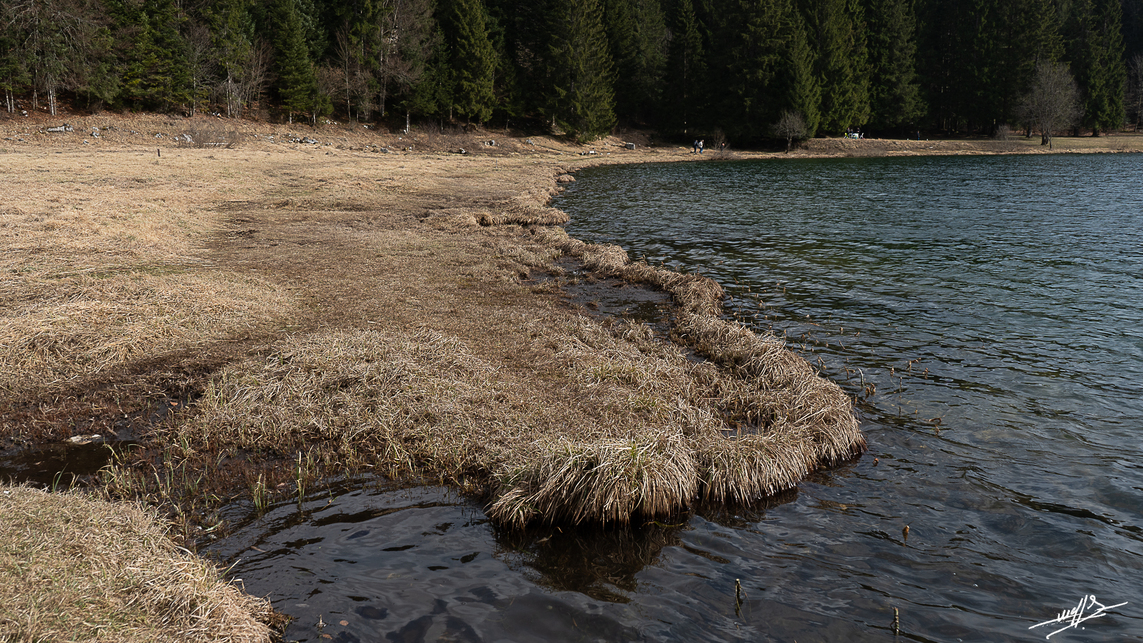 Pas de  gêne au lac Génin