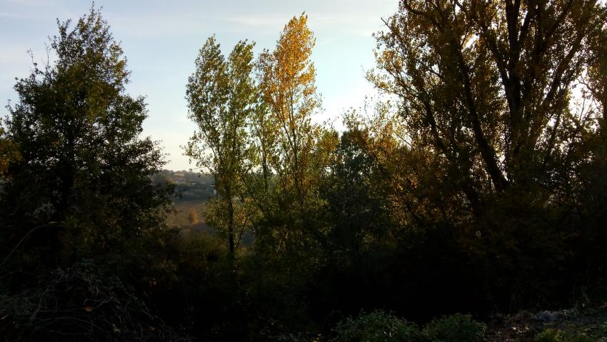 Momprimblanc (petite commune de Gironde)