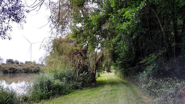 Les étangs de Saint-Georges-sur-Arnon