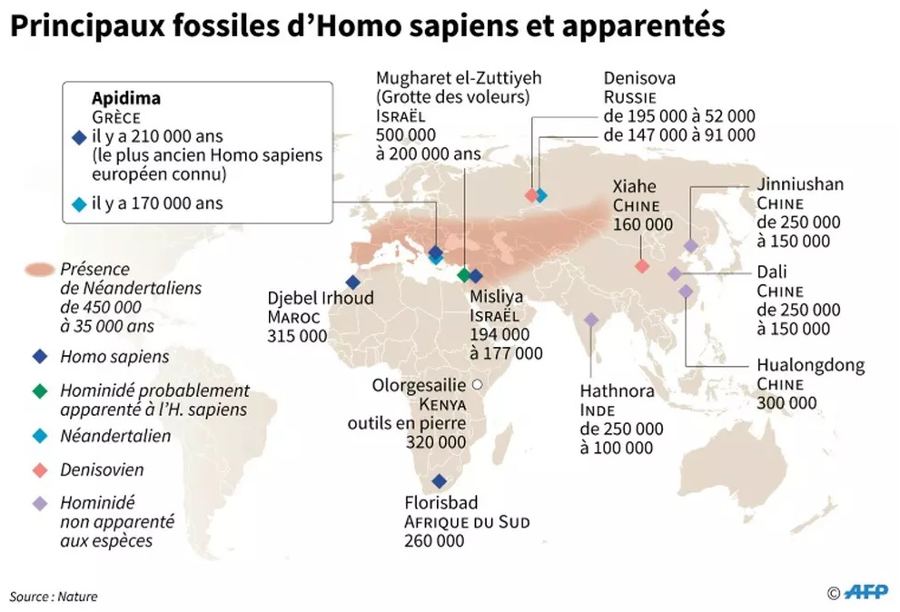 Principaux fossiles d'Homo sapiens et apparentés