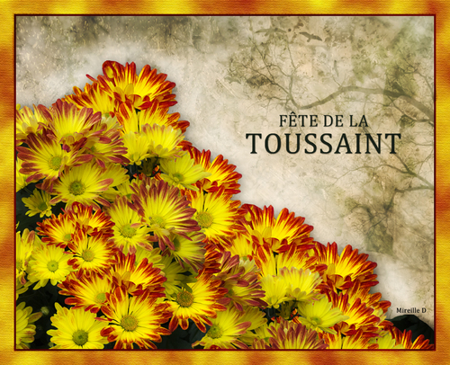 Fleurs de la Toussaint