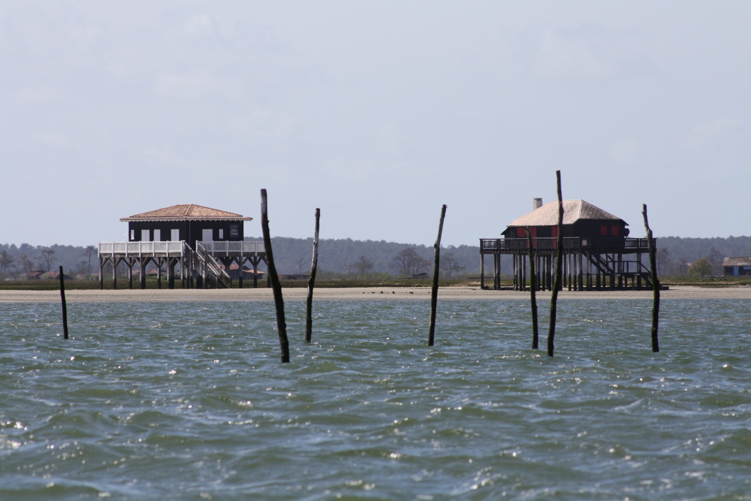 Bassin d'Arcachon, les cabanes tchanquées de l'île aux oiseaux