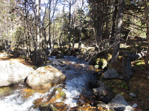 Cabane (3 nuits) : vallon de la Riberola + coll Mitjà (Haut-Conflent) - 66