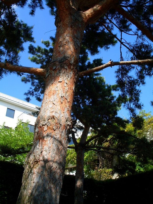 parc André Citroën