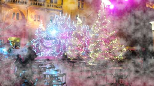 Nos beaux sapins, rois de la fête