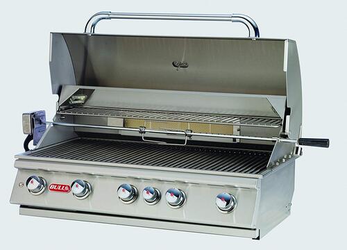 Weber Electric Grill - Buy Electric, Charcoal and Propane Grills At Best Prices