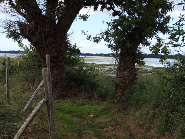 Ste Helene - Morbihan