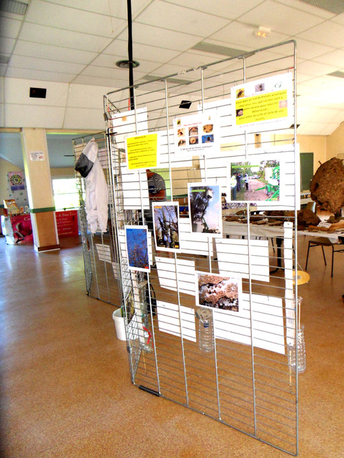 Nos expositions pédagogique