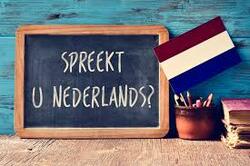 Cours de révision en néerlandais