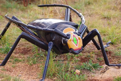 Insectes