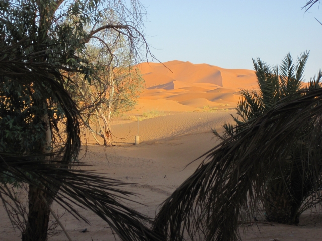 065 Aux Dunes d\'Or 16