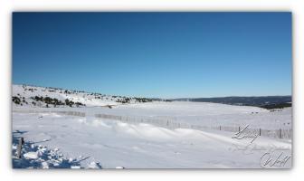Mont Lozère