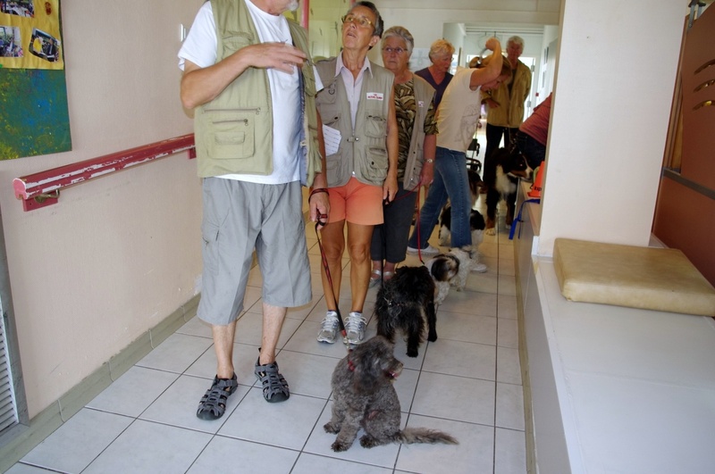 Démonstration canine à la maison de retraite de St Georges d'Oléron
