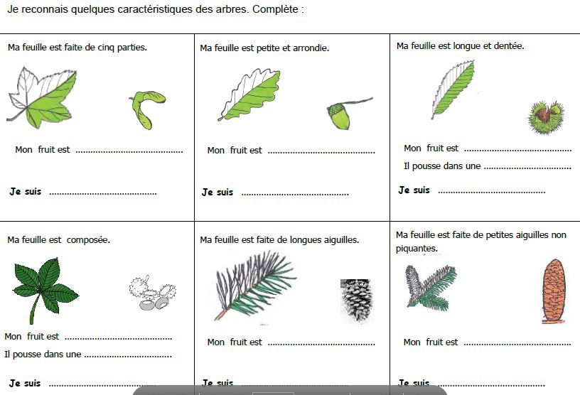Comment Chercher Des Photos Sur Une Cate Sd Comment Chercher Des Photos Sur Une Cate Sd