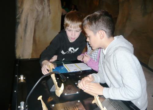 CE2 Musée de l'ours des cavernes
