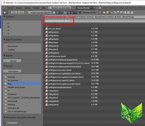 Enregistrer une pose en format RIGS