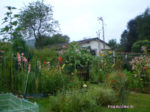Mon jardin en 2009