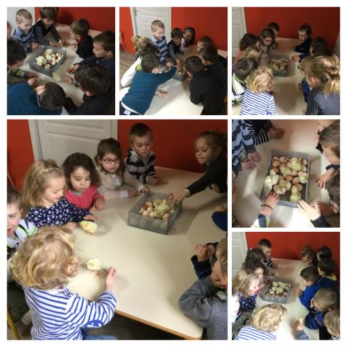 Poussins