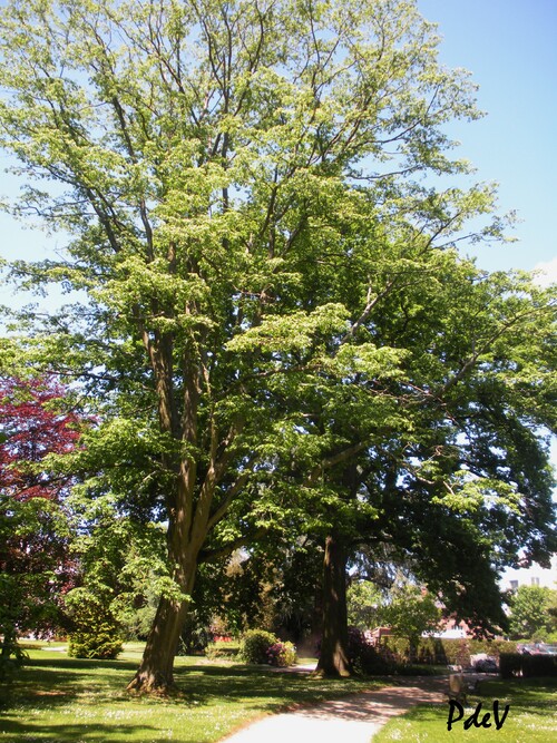 PARC OBERTHUR A RENNES