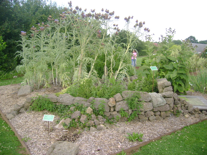 LES JARDINS DE PLINE L'ANCIEN . CHASSENON . 16150 .