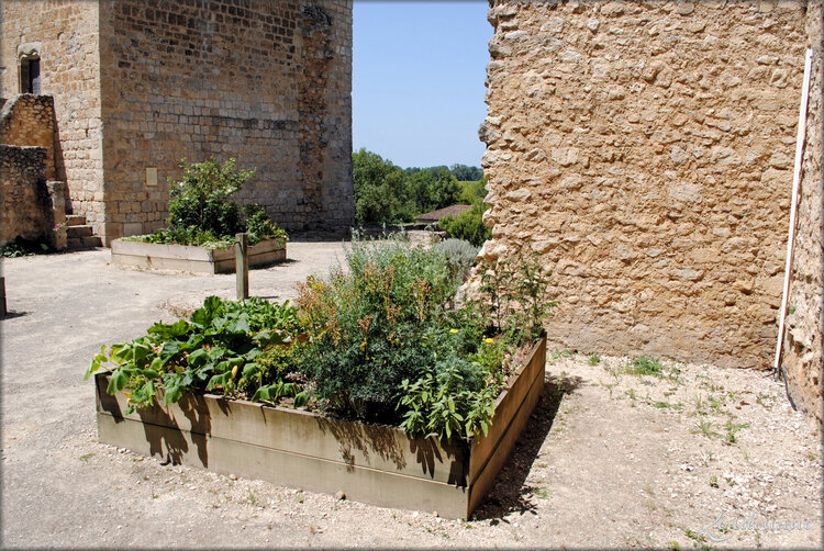 Photo jardin médiéval - Rions - Gironde