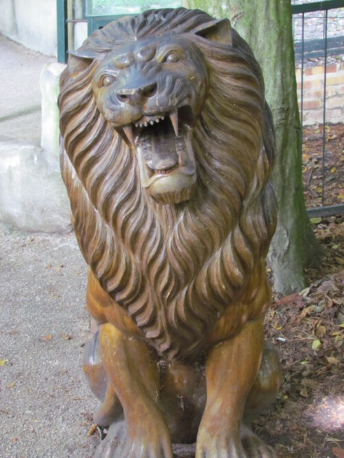 Zoo de Beauval (3).