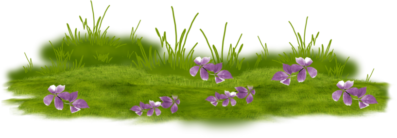 Défi 73:Lilas au jardin