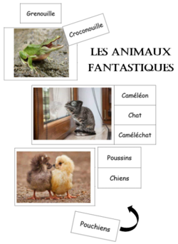 Les animaux fantastiques