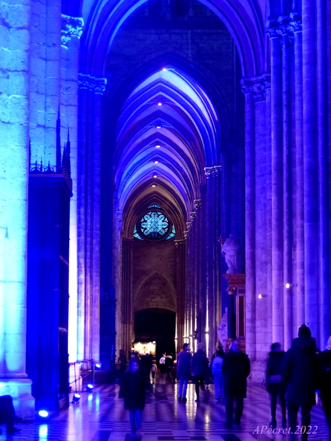Cathédrale d'Amiens en fête