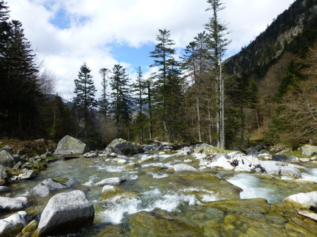 Gaves du Lutour à la Fruitière 