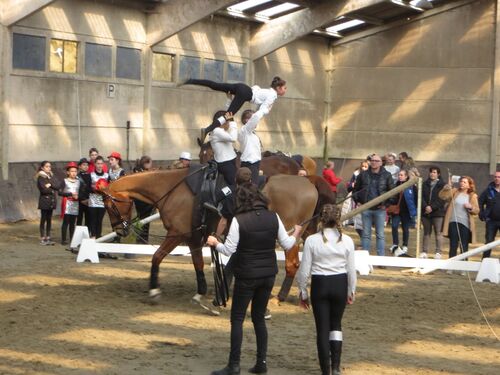 Compétition voltige St Sylvestre Cappel 2019