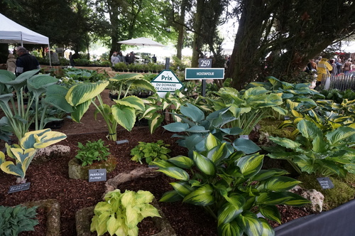 Chantilly, la fête des plantes