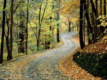 amazing_scenic_wallpaper_of_autumn_road_percy_warner_park_nashville_tenne-1600x1200