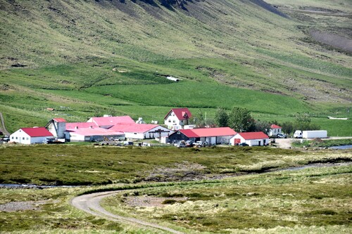 De Raven Cliff à Miðjanes (Reykhólar)