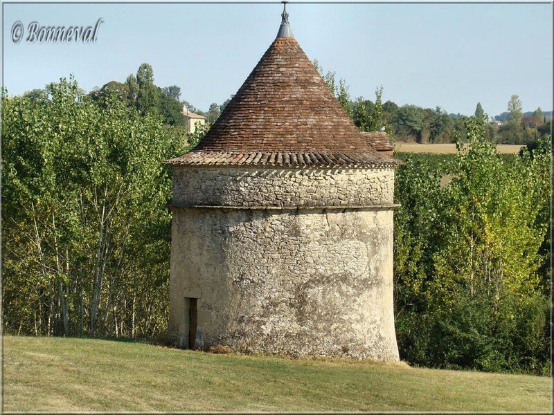 Colombier sur pied Château Lavison Loubens Gironde