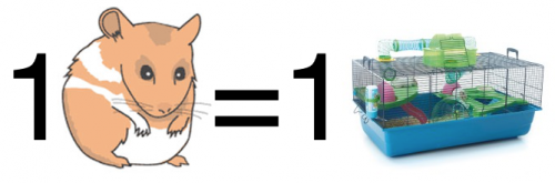 Cohabitation hamster
