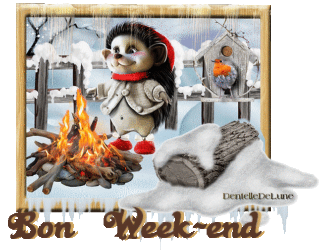 gif-hiver-bon-week-end-animation-hérisson-rouge-gorge-se-chauffent-près-d'un-feu-de-bois