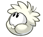 Puffles blancs