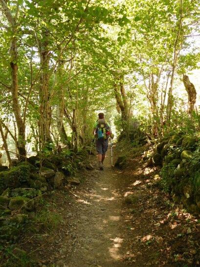 Nasbinals / St Chely d'Aubrac 17km