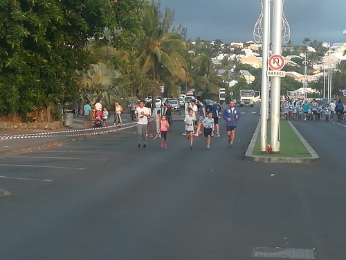 Guépards à l'entrainement