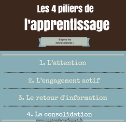 les 4 piliers de l'apprentissage d'après les neurosciences