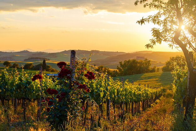 Chianti, un territoire viticole historique