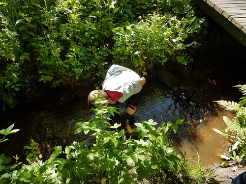 3 éme matinée découverte avec l'association "eau et rivière"