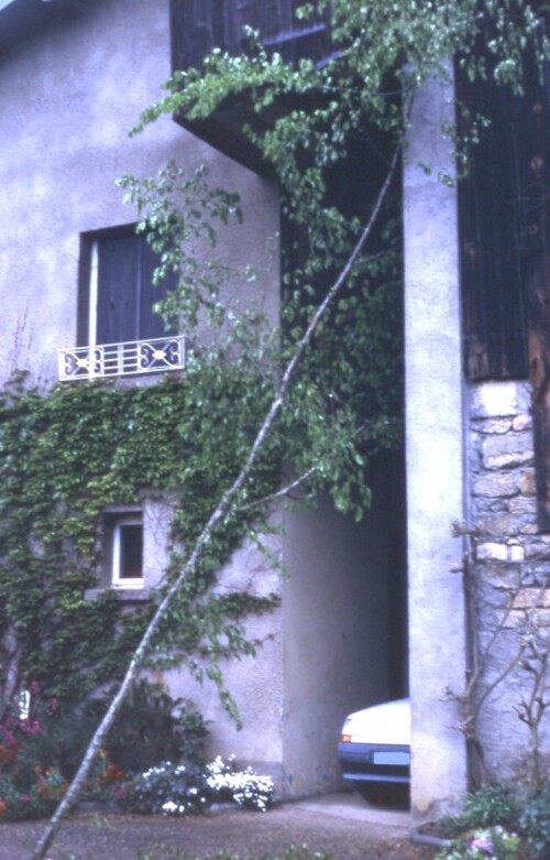 Souvenirs de Pierre Roy, Fêtes civiles et religieuses à Aisey sur Seine au XIXème siècle