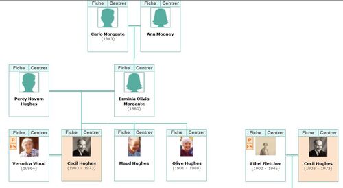 family trees