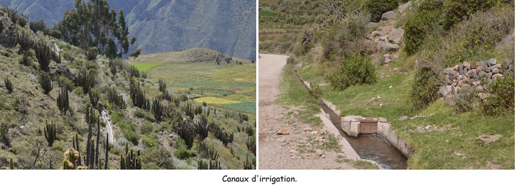 Cañon del Colca