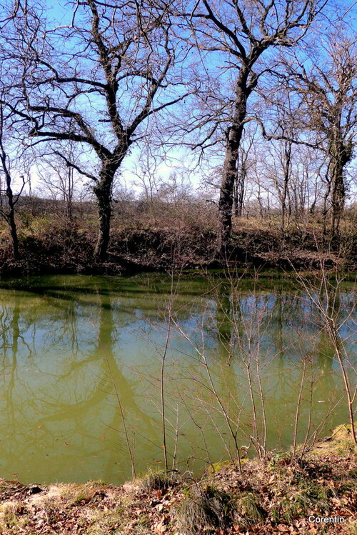 Au bord du Canal du Midi