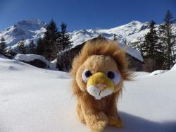 mascotte en montagne
