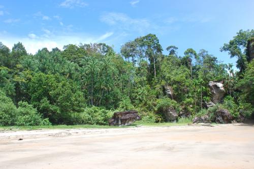 Mardi 16 juillet dans la jungle à Bako